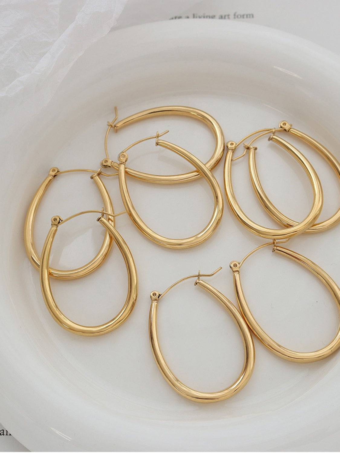 18K Gold-Plated Titanium Steel Earrings - felvior