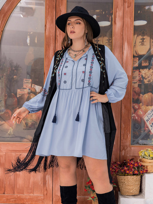 Plus Size Tie Neck Tassel Detail Long Sleeve Mini Dress - felvior