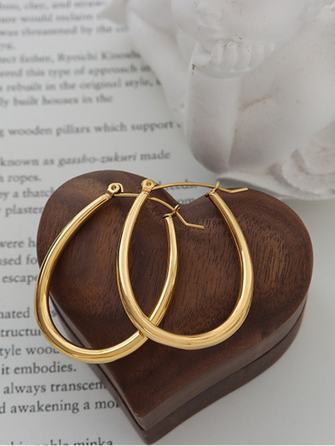 18K Gold-Plated Titanium Steel Earrings - felvior