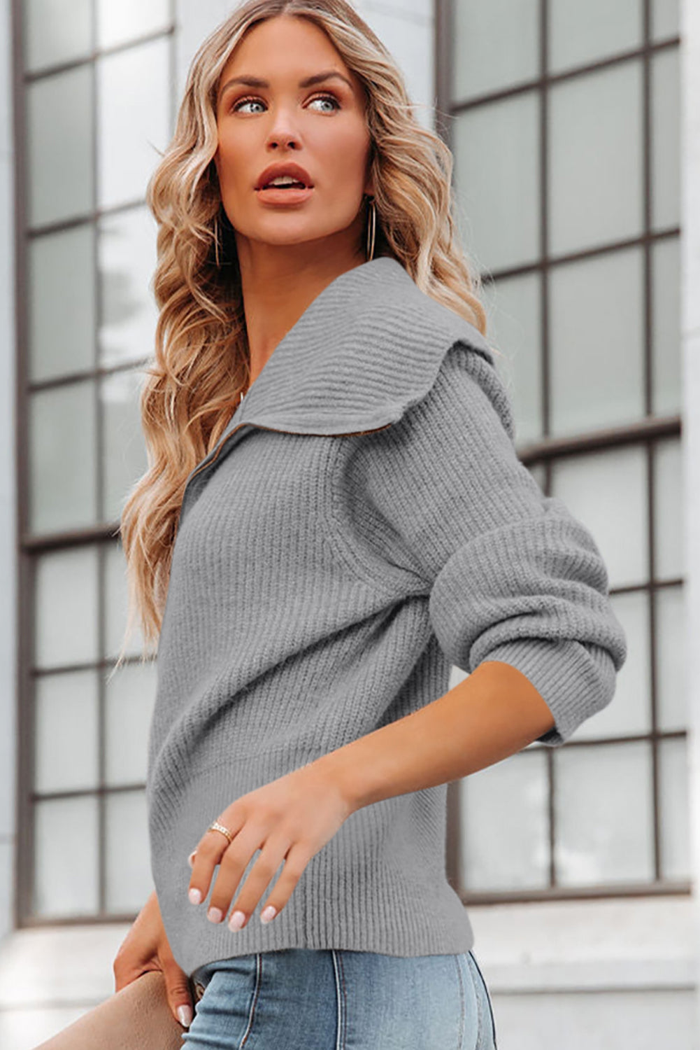 Zip Up Long Sleeve Cardigan - felvior