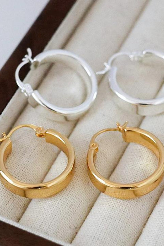 Gold-Plated Brass Huggie Earrings - felvior