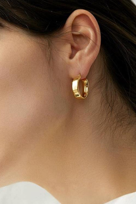 Gold-Plated Brass Huggie Earrings - felvior