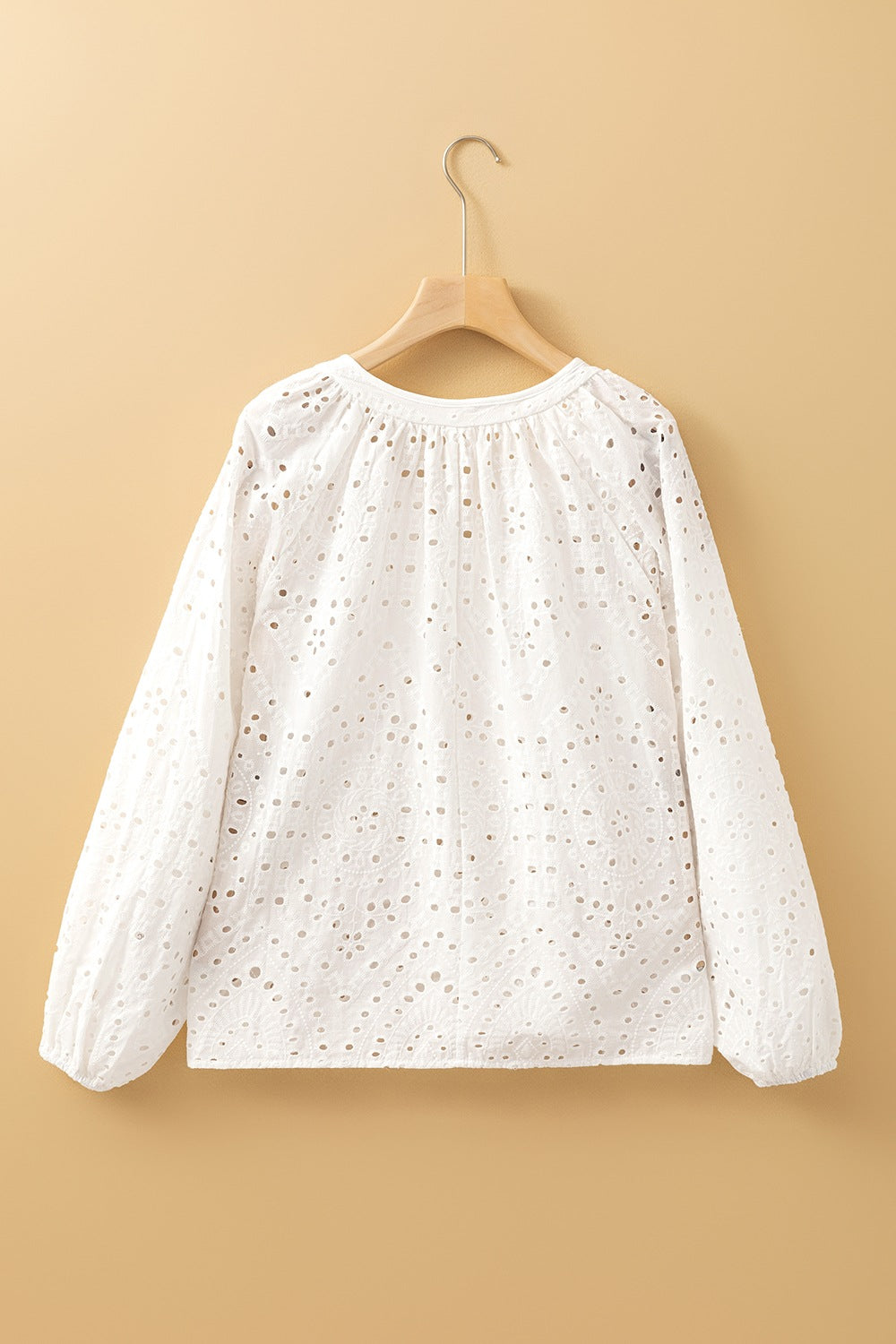 Eyelet V-Neck Long Sleeve Blouse