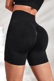 Slim Fit High Waistband Active Shorts - felvior