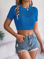 Cable Knit Openwork Round Neck Knit Top
