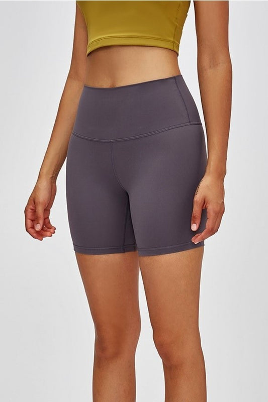 Millennia High Waist Training Shorts - felvior
