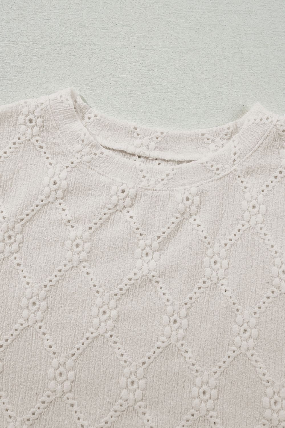 Eyelet Round Neck Short Sleeve Blouse