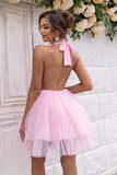 Halter Neck Backless Mesh Dress - felvior
