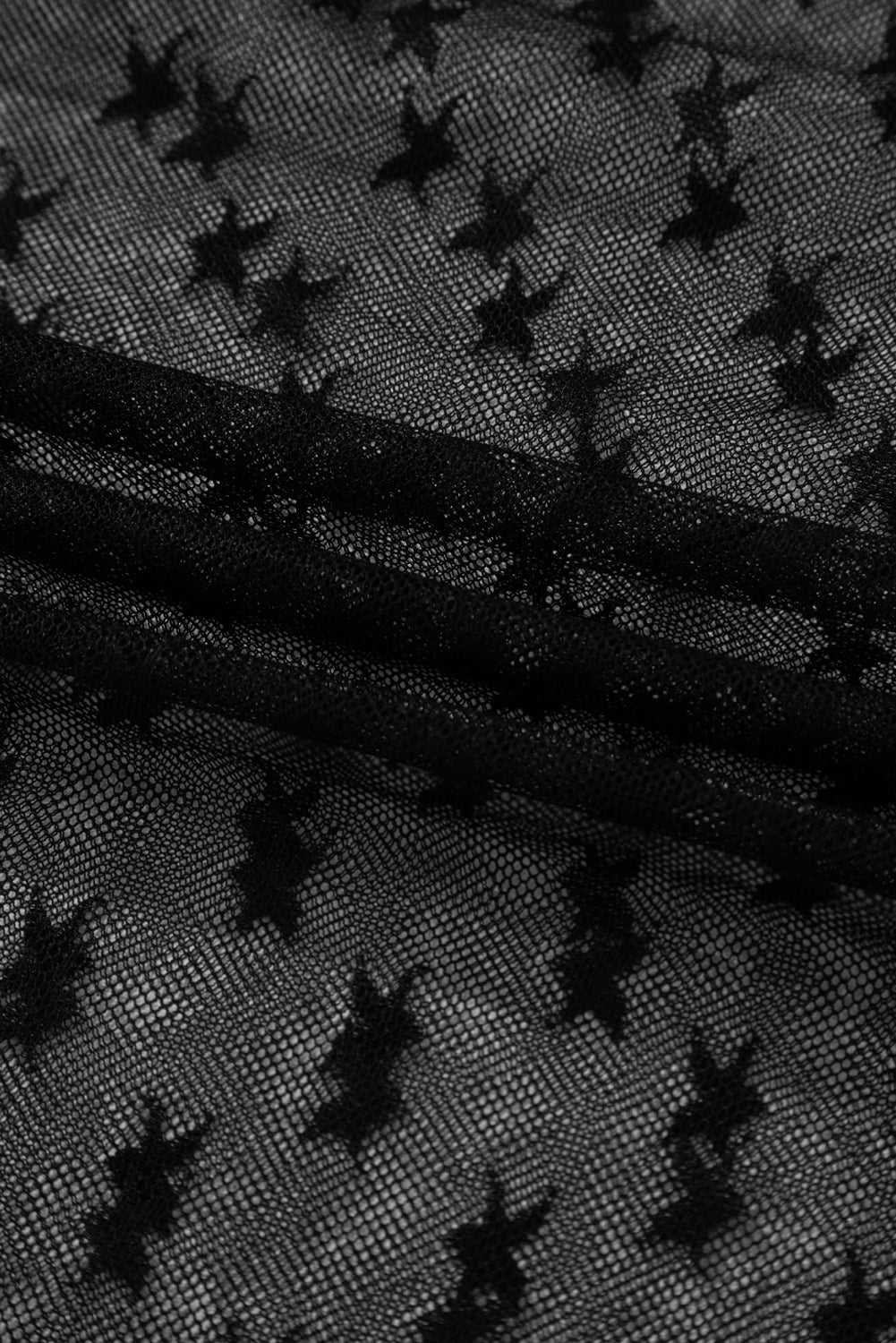 Star Round Neck Long Sleeve Sheer Blouse