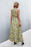 Printed Sleeveless Tie Waist Maxi Dress - felvior