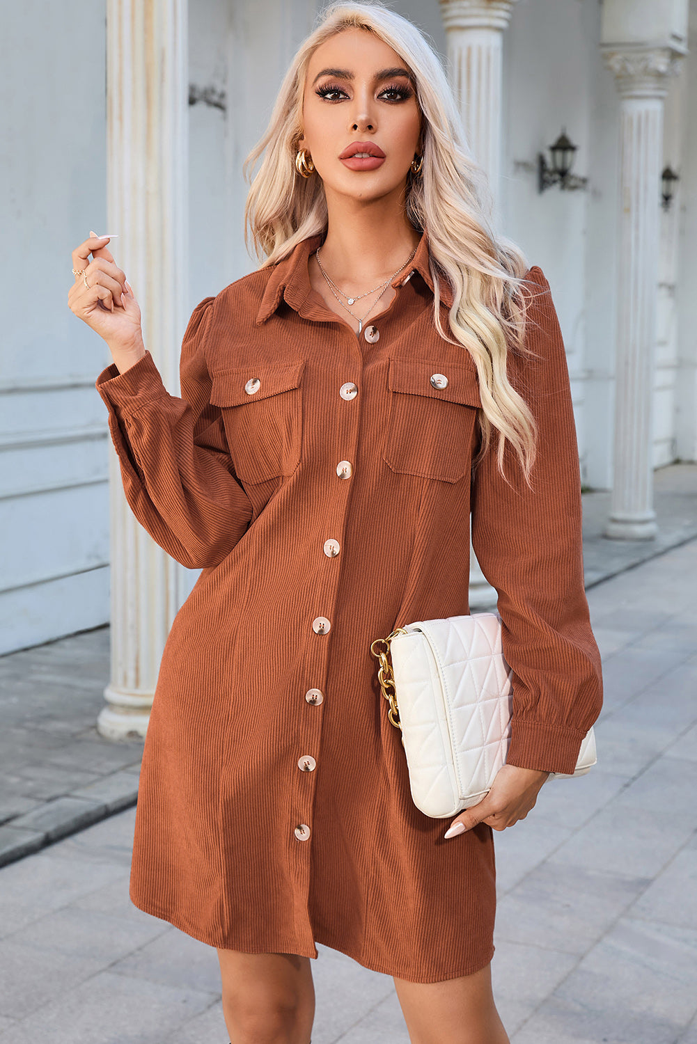 Button Down Puff Sleeve Dress Hauptbild