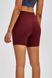 Millennia High Waist Training Shorts - felvior