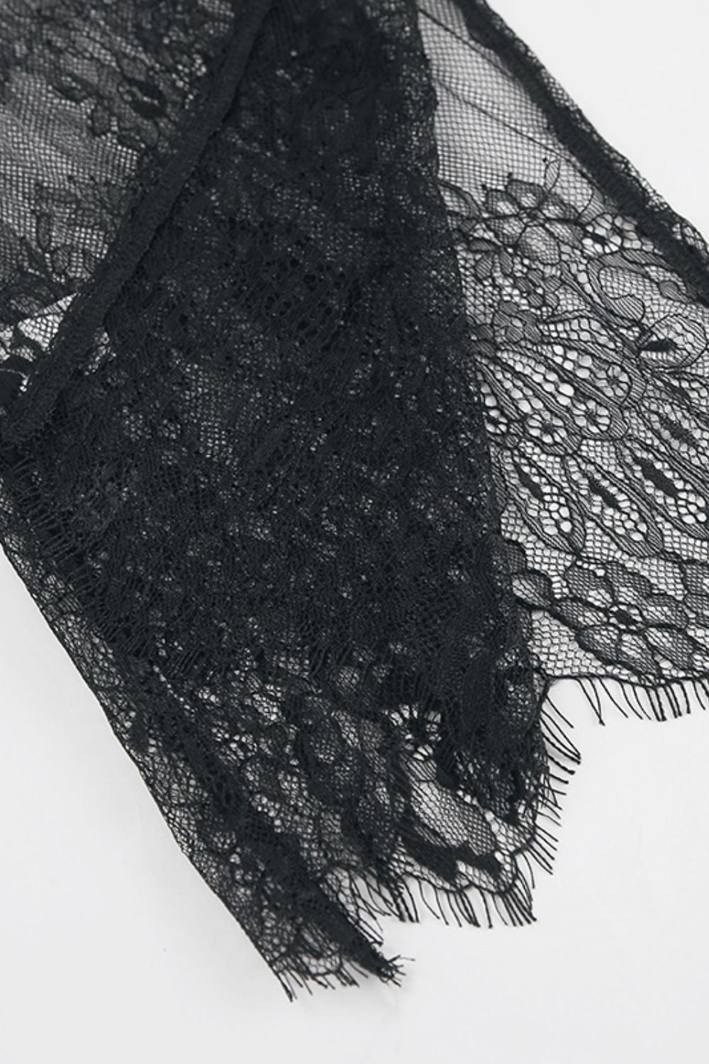 Fringe Round Neck Long Sleeve Lace Sheer Top