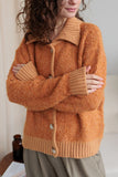 Collared Neck Button Down Long Sleeve Cardigan - felvior