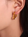 Stainless Steel Heart Earrings - felvior