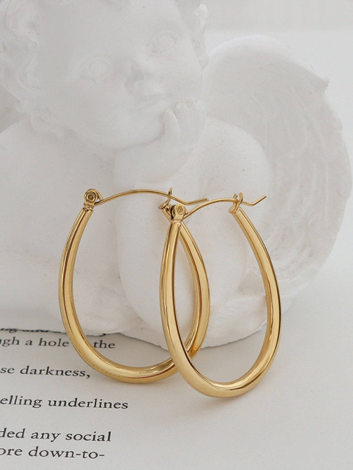 18K Gold-Plated Titanium Steel Earrings - felvior