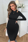 Cutout Long Sleeve Pencil Dress - felvior