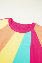 Frill Color Block Crew Neck Loose Fit T Shirt