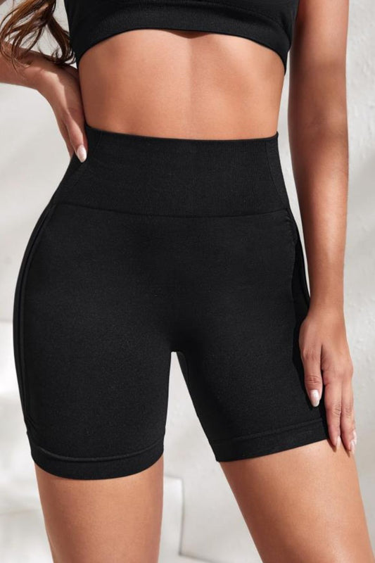Slim Fit High Waistband Active Shorts - felvior