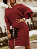 Round Neck Lantern Sleeve Dress - felvior