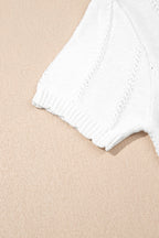 Openwork Round Neck Short Sleeve Knit Top